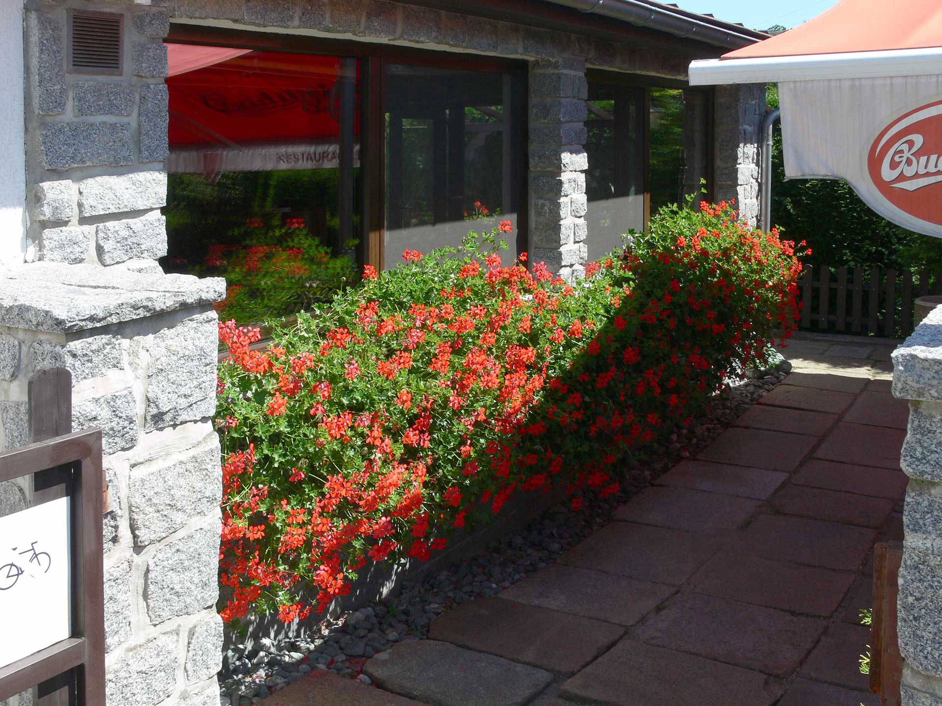 Exteriér restaurace a penzionu Balaton Rožany Šluknov